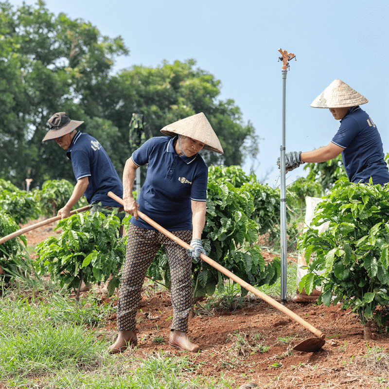 Chọn sản phẩm sạch là bảo vệ sức khoẻ bản thân và cộng đồng