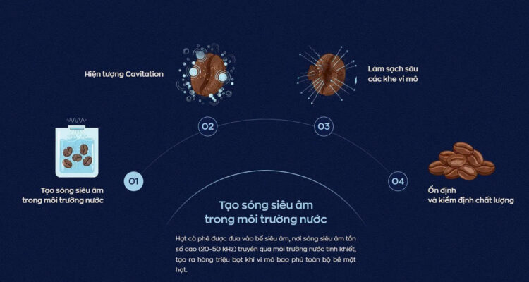 Nguyên lý sóng siêu âm làm sạch sâu cà phê: Lopha coffee