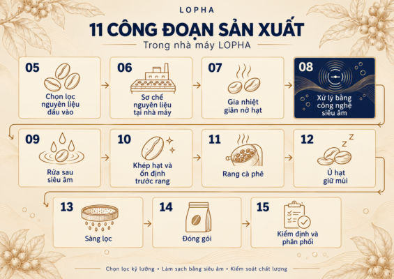 11 công đoạn sản xuất trong nhà máy Lopha Coffee