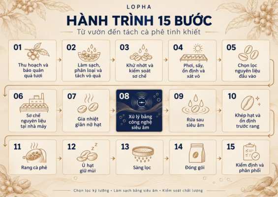 Hành trình 15 bước tạo nên cà phê tinh khiết LOPHA, từ thu hoạch và sơ chế đến làm sạch bằng công nghệ siêu âm, rang, đóng gói và kiểm định chất lượng.